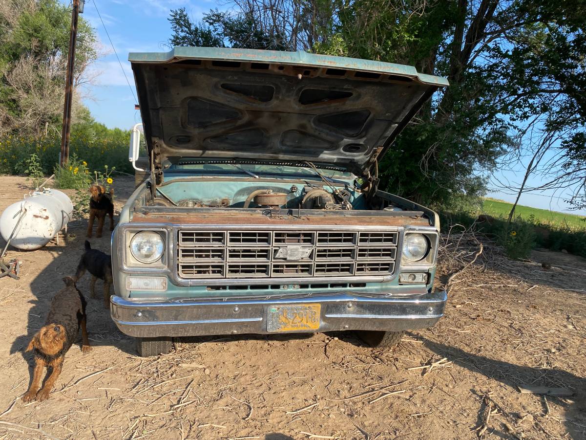 Chevrolet-chevy-1955-5