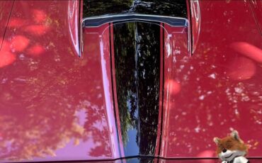 Chevrolet-chevy-corvette-Matching-numbers-1967-Convertible-26
