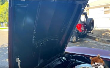 Chevrolet-chevy-corvette-Matching-numbers-1967-Convertible-28