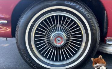 Chevrolet-chevy-corvette-Matching-numbers-1967-Convertible-34