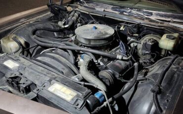Chevrolet-chevy-impala-1973-brown-3