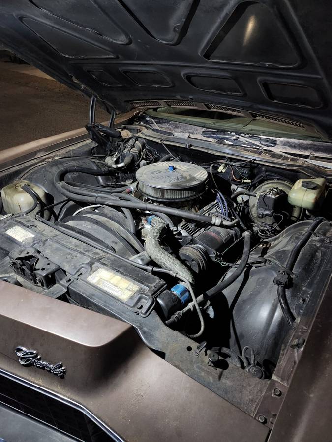 Chevrolet-chevy-impala-1973-brown-3