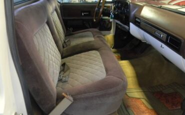 Chevrolet-cheyenne-1975-20