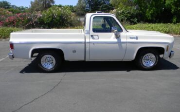 Chevrolet-cheyenne-1975-20