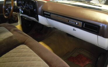 Chevrolet-cheyenne-1975-21