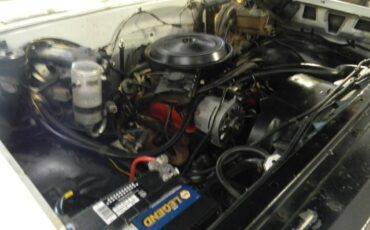 Chevrolet-cheyenne-1975-23