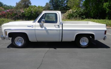 Chevrolet-cheyenne-1975-7