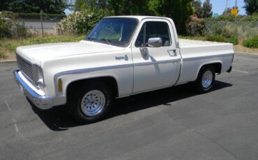 Chevrolet-cheyenne-1975-8