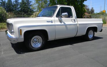 Chevrolet-cheyenne-1975-9