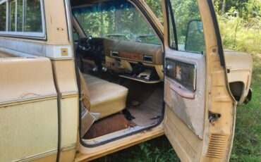 Chevrolet-cheyenne-1977-1