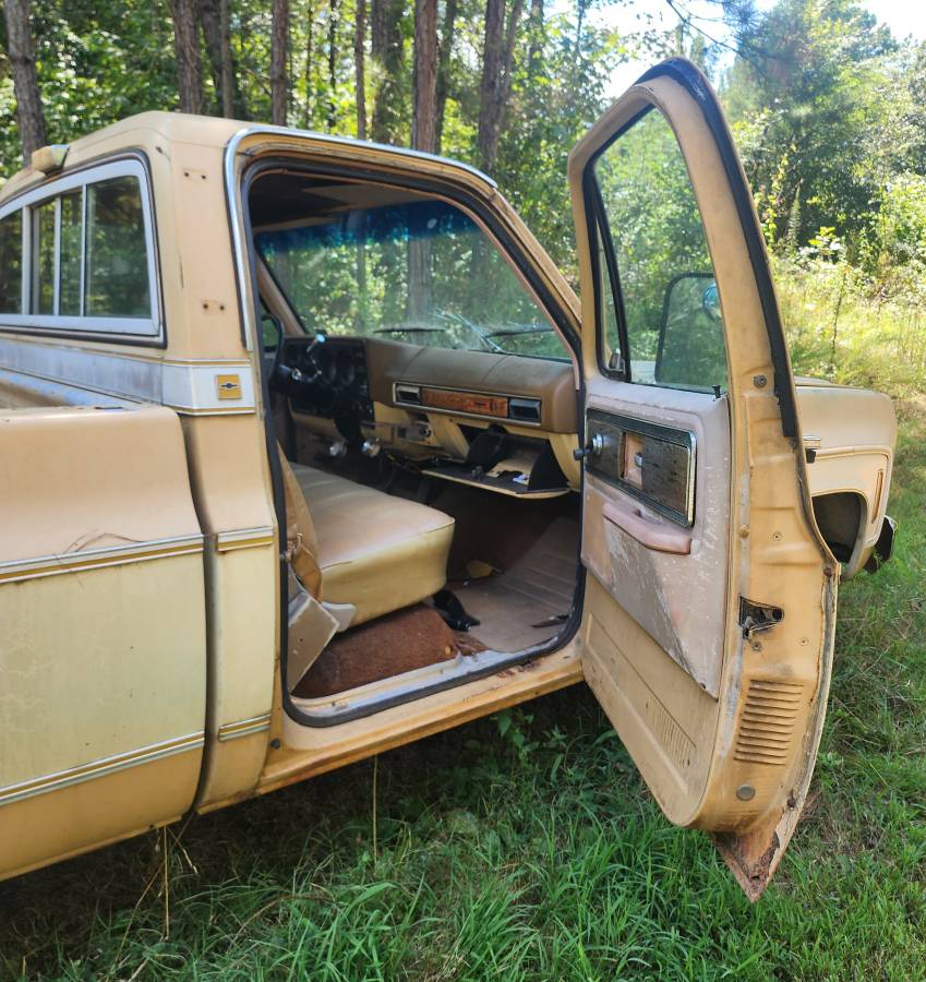 Chevrolet-cheyenne-1977-1
