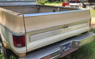 Chevrolet-cheyenne-1977-2