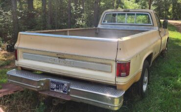 Chevrolet-cheyenne-1977-3