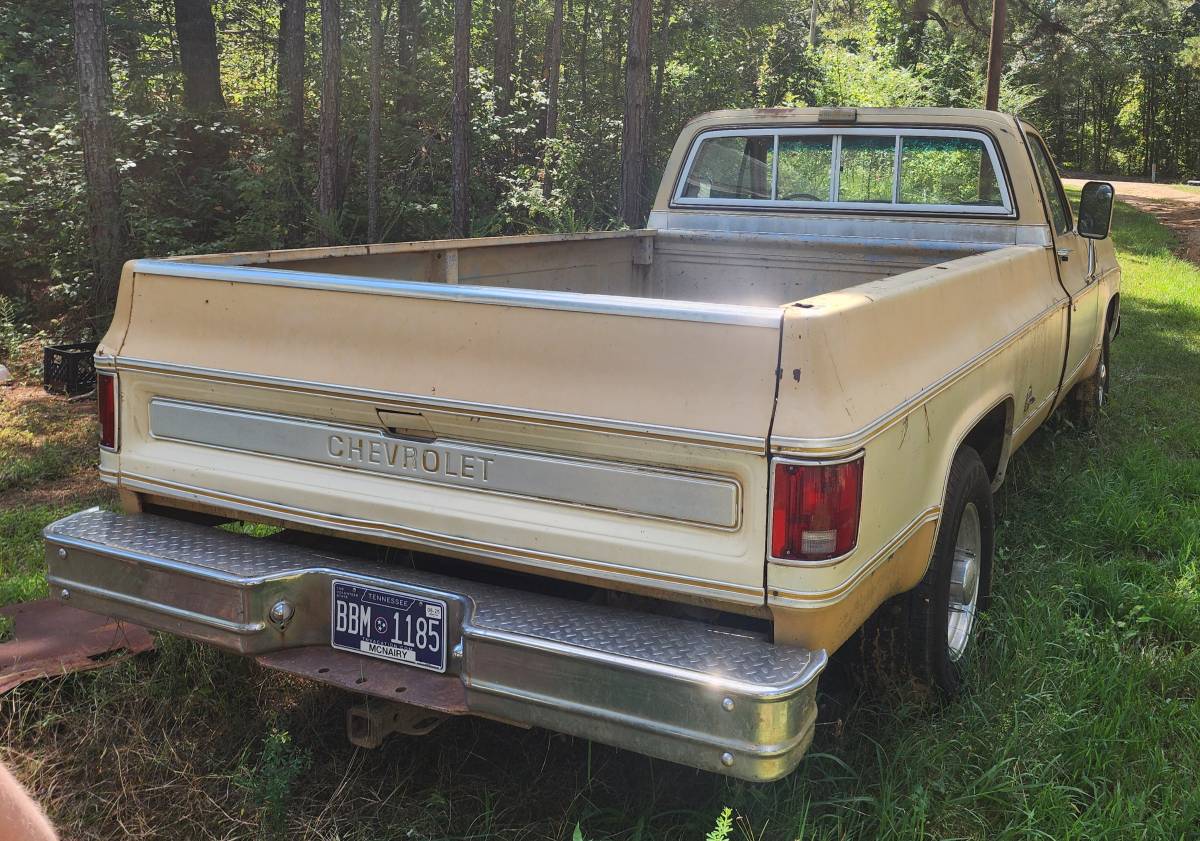 Chevrolet-cheyenne-1977-3