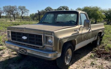 Chevrolet-cheyenne-c-20-1977-1