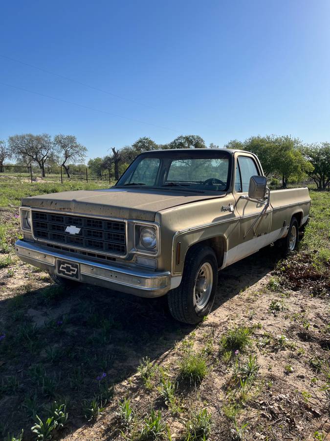 Chevrolet-cheyenne-c-20-1977-1