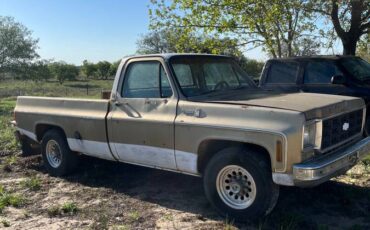 Chevrolet-cheyenne-c-20-1977-2