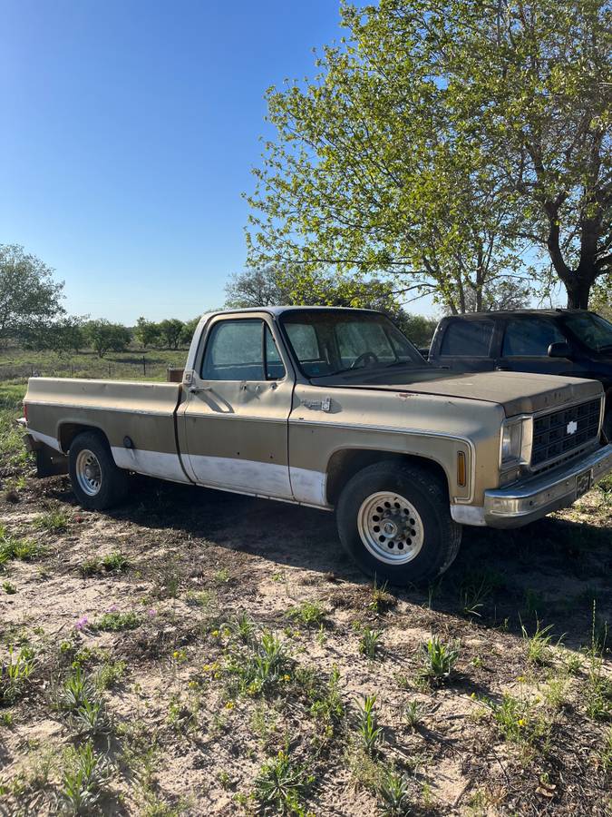 Chevrolet-cheyenne-c-20-1977-2