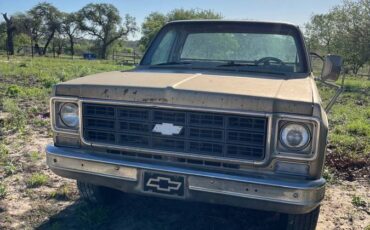Chevrolet-cheyenne-c-20-1977