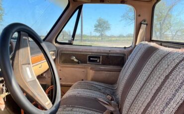 Chevrolet-cheyenne-c-20-1977-4