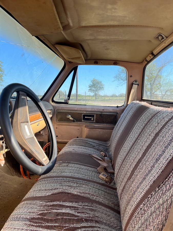 Chevrolet-cheyenne-c-20-1977-4