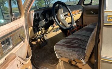 Chevrolet-cheyenne-c-20-1977-5