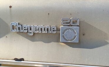 Chevrolet-cheyenne-c-20-1977-6