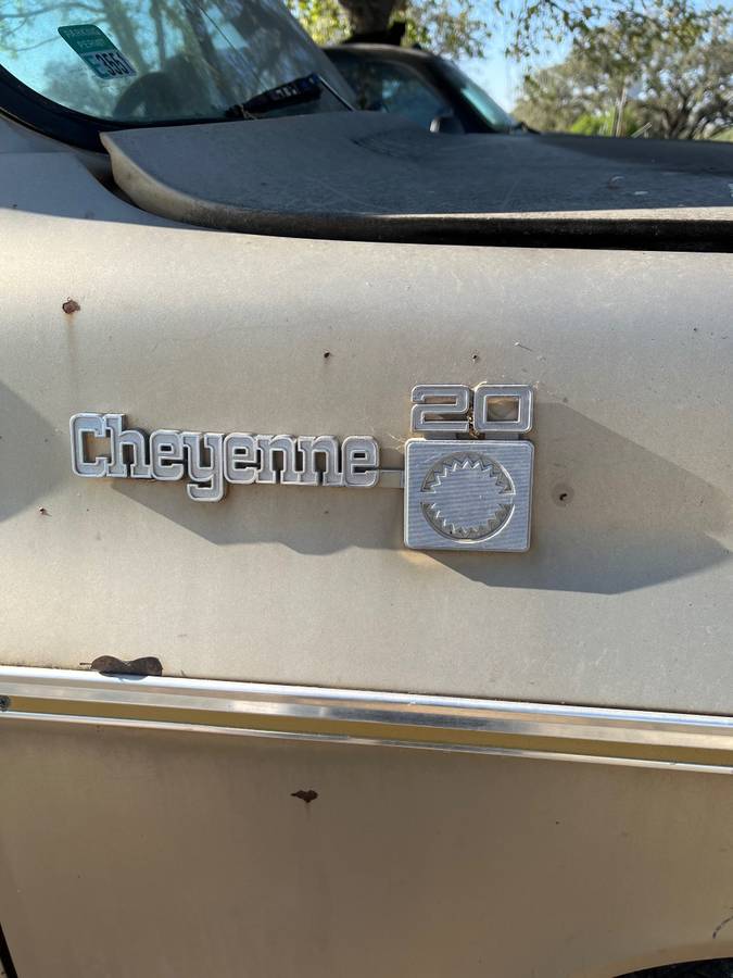 Chevrolet-cheyenne-c-20-1977-6