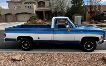 Chevrolet-cheyenne-super-c20-1973-custom