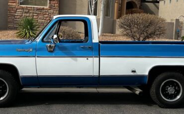 Chevrolet-cheyenne-super-c20-1973-custom-4