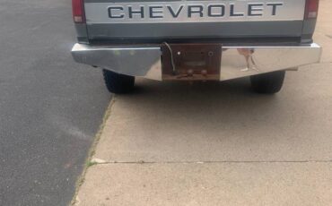 Chevrolet-ck-1500-series-1991-grey-2