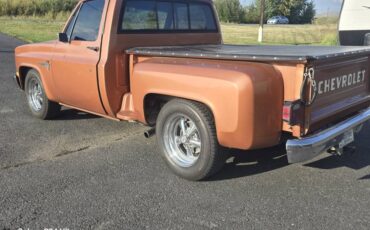 Chevrolet-ck-pickup-12-ton-1981-brown-1