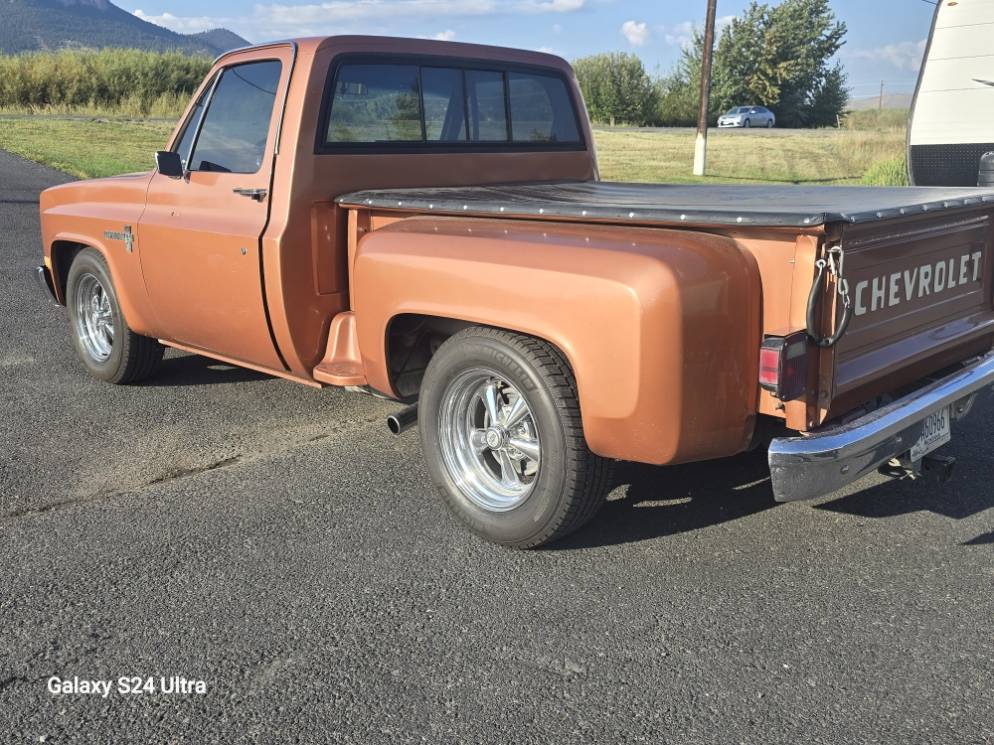 Chevrolet-ck-pickup-12-ton-1981-brown-1