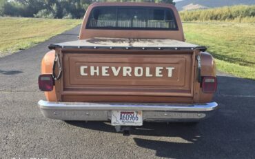 Chevrolet-ck-pickup-12-ton-1981-brown-2