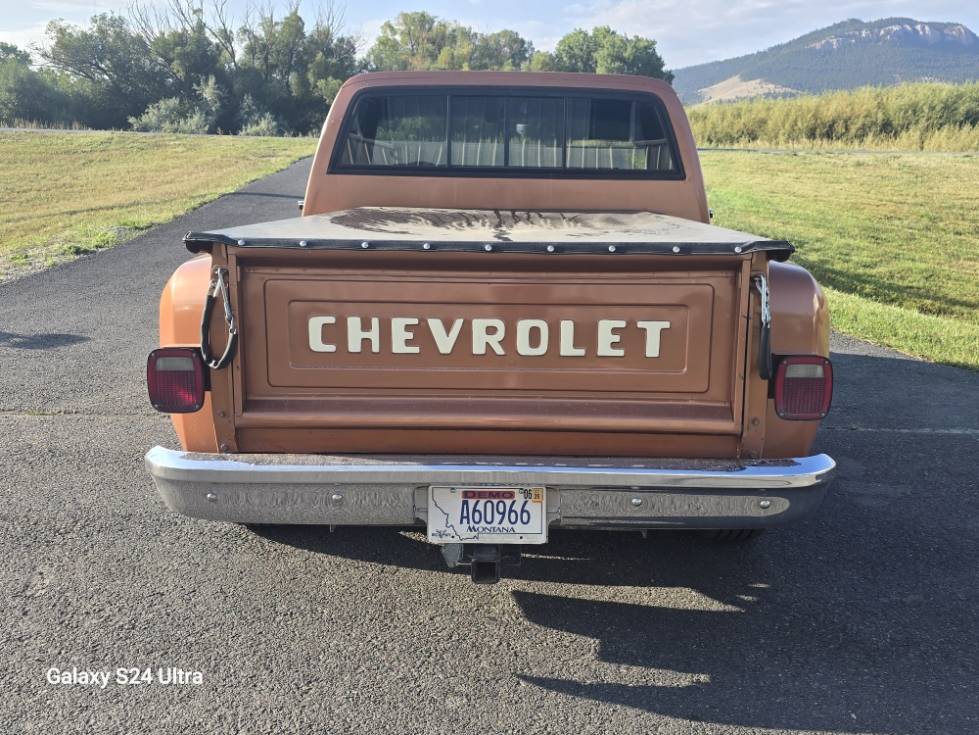Chevrolet-ck-pickup-12-ton-1981-brown-2