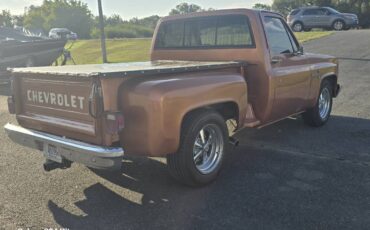 Chevrolet-ck-pickup-12-ton-1981-brown-3