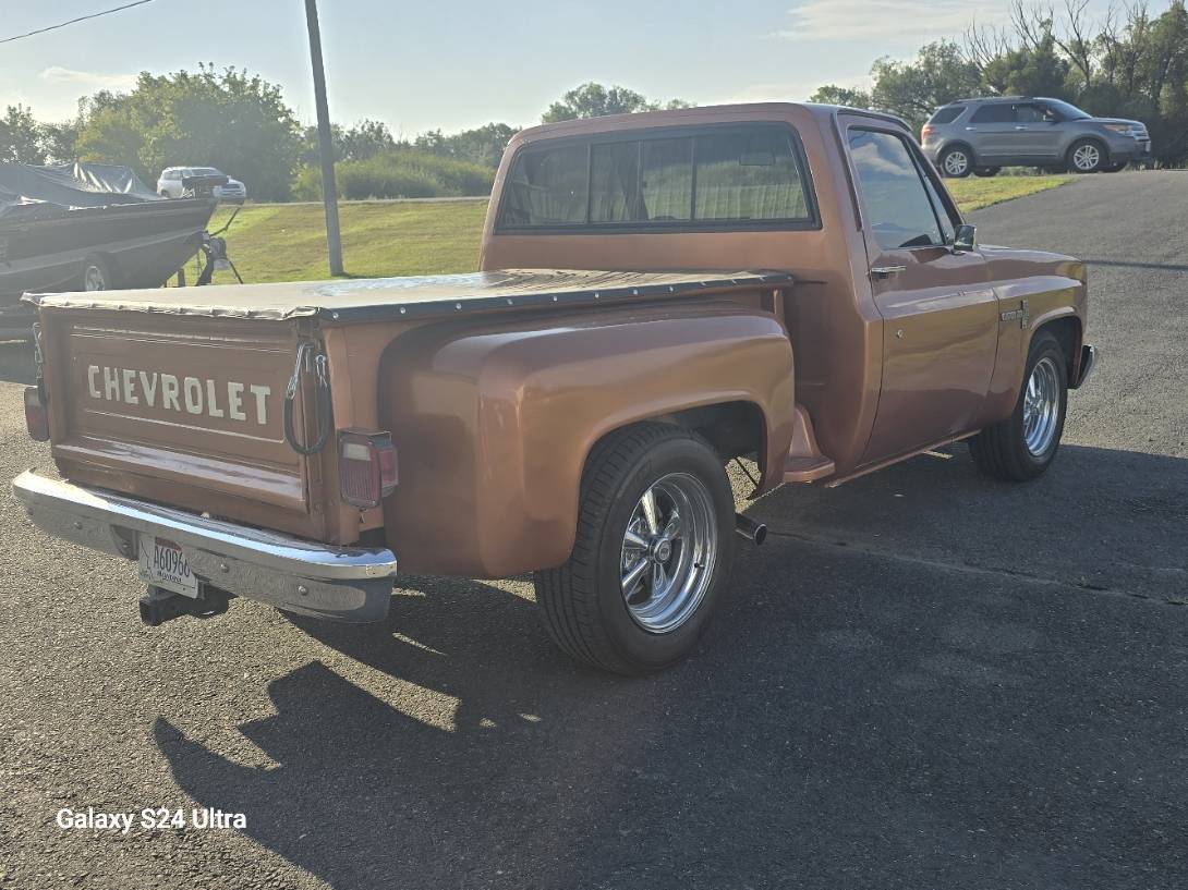 Chevrolet-ck-pickup-12-ton-1981-brown-3