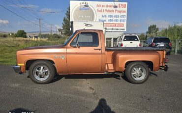 Chevrolet-ck-pickup-12-ton-1981-brown