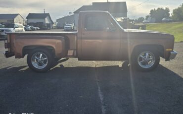 Chevrolet-ck-pickup-12-ton-1981-brown-4
