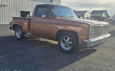 Chevrolet-ck-pickup-12-ton-1981-brown-5