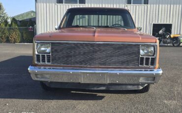 Chevrolet-ck-pickup-12-ton-1981-brown-6