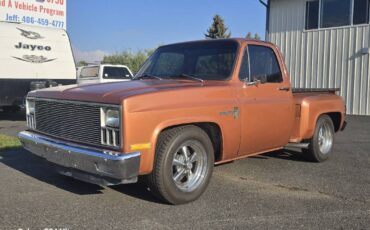 Chevrolet-ck-pickup-12-ton-1981-brown-7