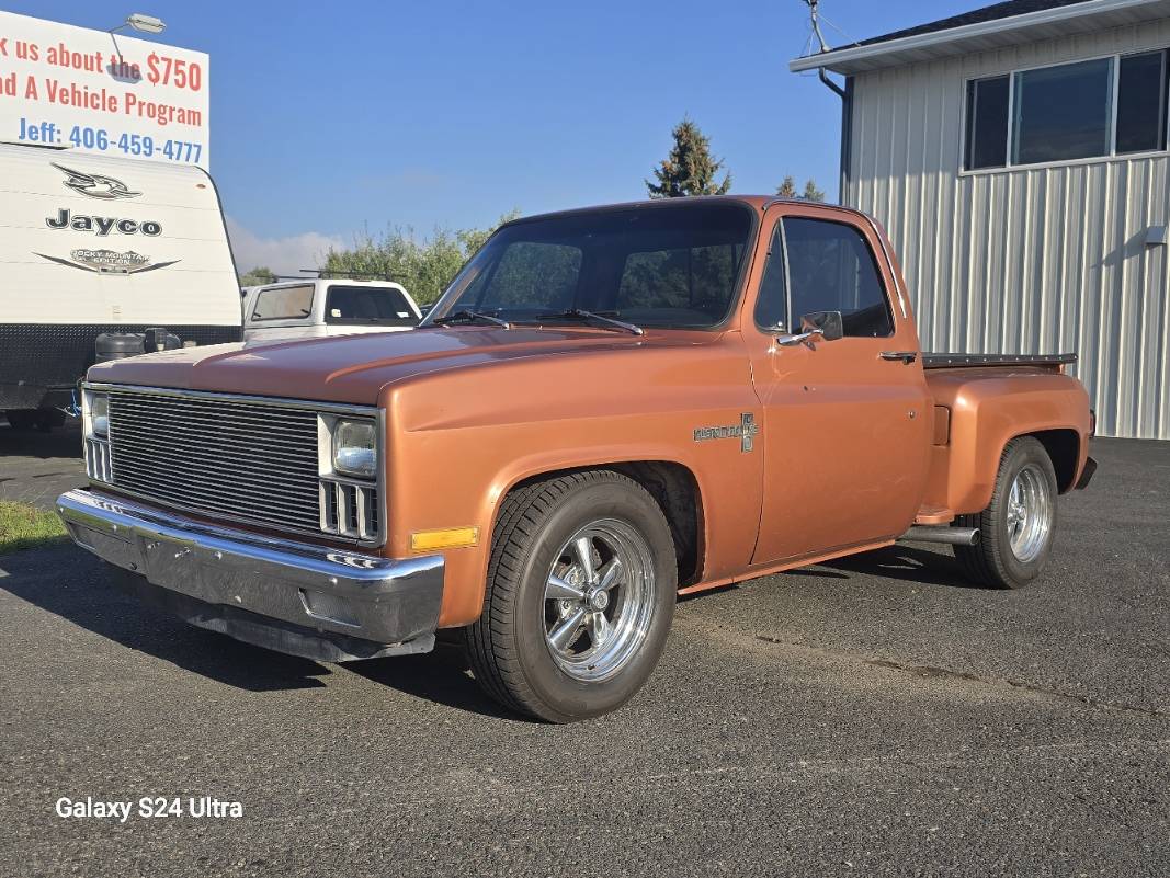 Chevrolet-ck-pickup-12-ton-1981-brown-7