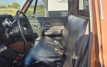 Chevrolet-ck-pickup-12-ton-1981-brown-8