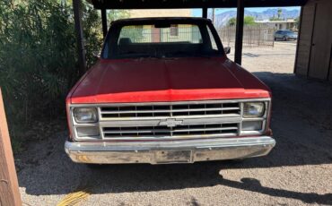 Chevrolet-ck-pickup-12-ton-1984-red-4