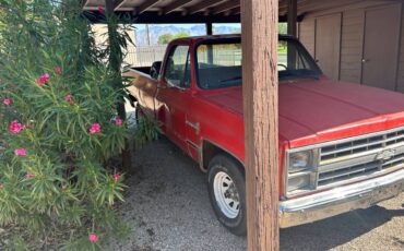 Chevrolet-ck-pickup-12-ton-1984-red-5