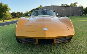Chevrolet-corvette-1973-yellow-12