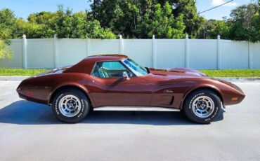 Chevrolet-corvette-1974-brown-14