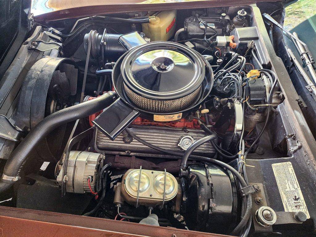 Chevrolet-corvette-1974-brown-19