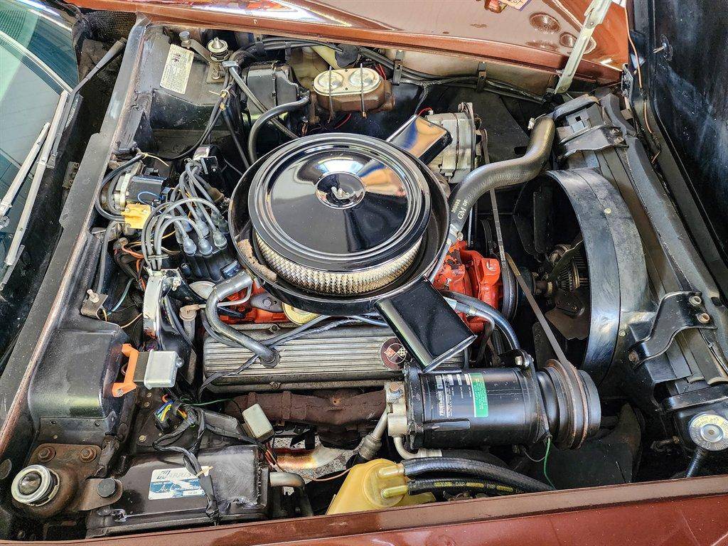 Chevrolet-corvette-1974-brown-20